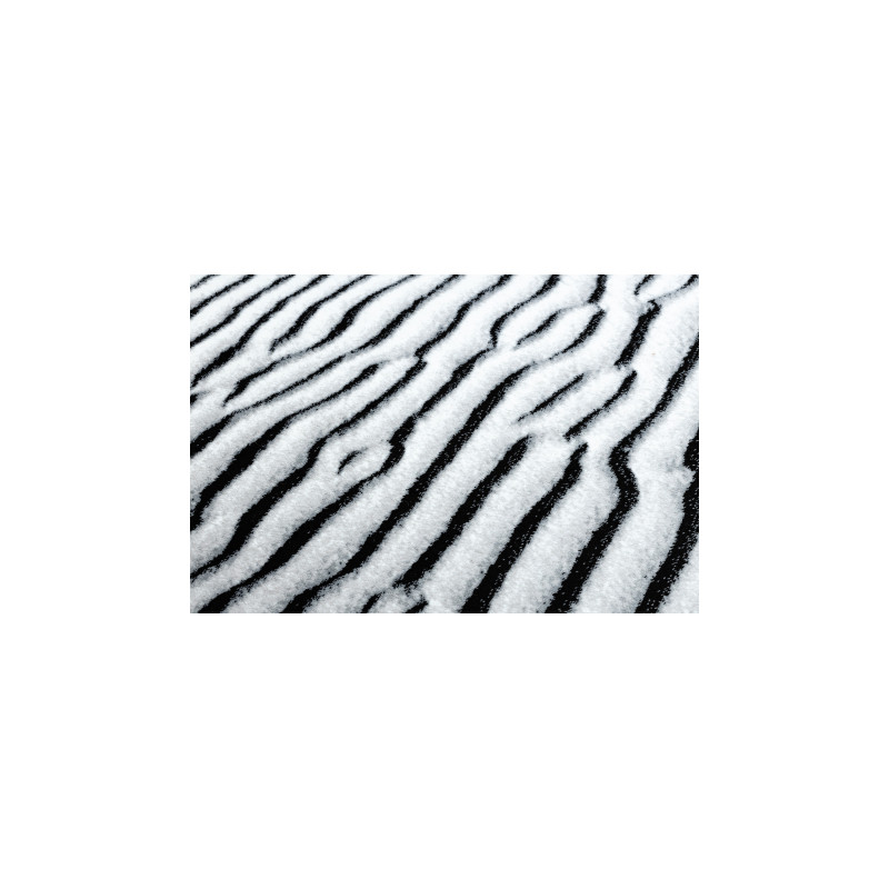 Dywan ARGENT - W9558 Wydmy, piasek szary 160x220cm