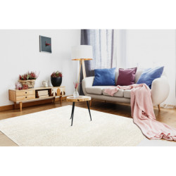 Dywan PURE Linie 5975-17733 krem 120x160cm