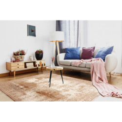 Dywan NAIN Ornament, ramka, vintage 7699/51955 beż 200x300cm