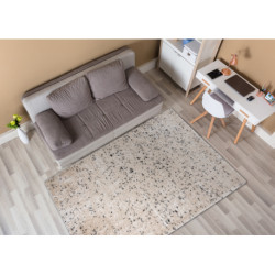 Dywan FLUFFY 2372 shaggy sól i pieprz - krem / antracyt 120x170cm
