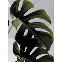 Dywan Dywilan Free Monstera Green