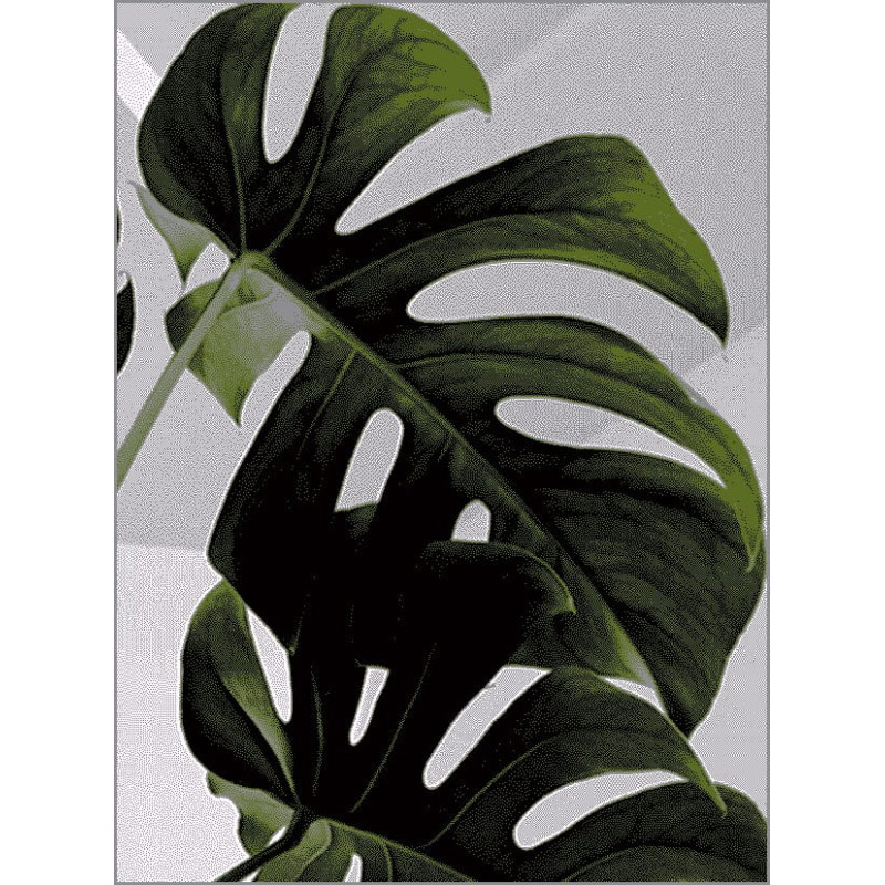 Dywan Dywilan Free Monstera Green Dywan Dywilan Free Monstera Green