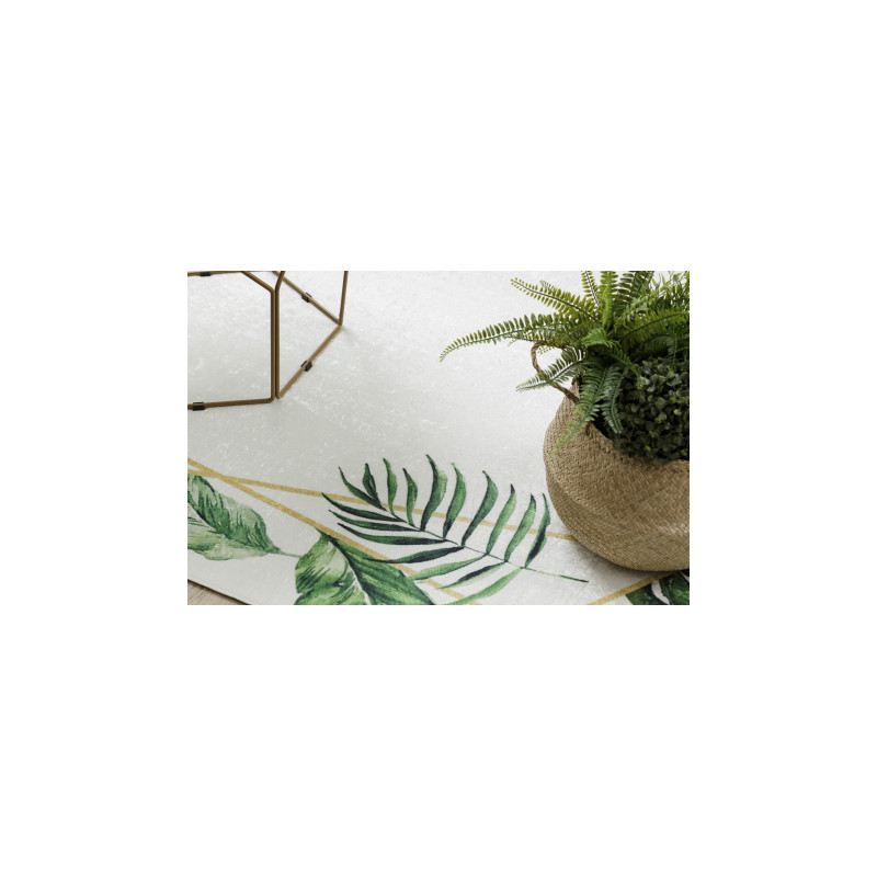 Dywan do prania ANDRE 1168 Liście Monstera, geometryczny antypoślizgowy - biały / zielony 80x150cm