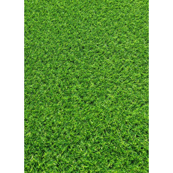 Sztuczna trawa Miami Verde Sztuczna trawa Miami Verde