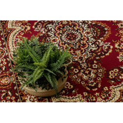 Dywan BCF Morad WIOSNA Ornament, klasyczny - bordo 240x340cm