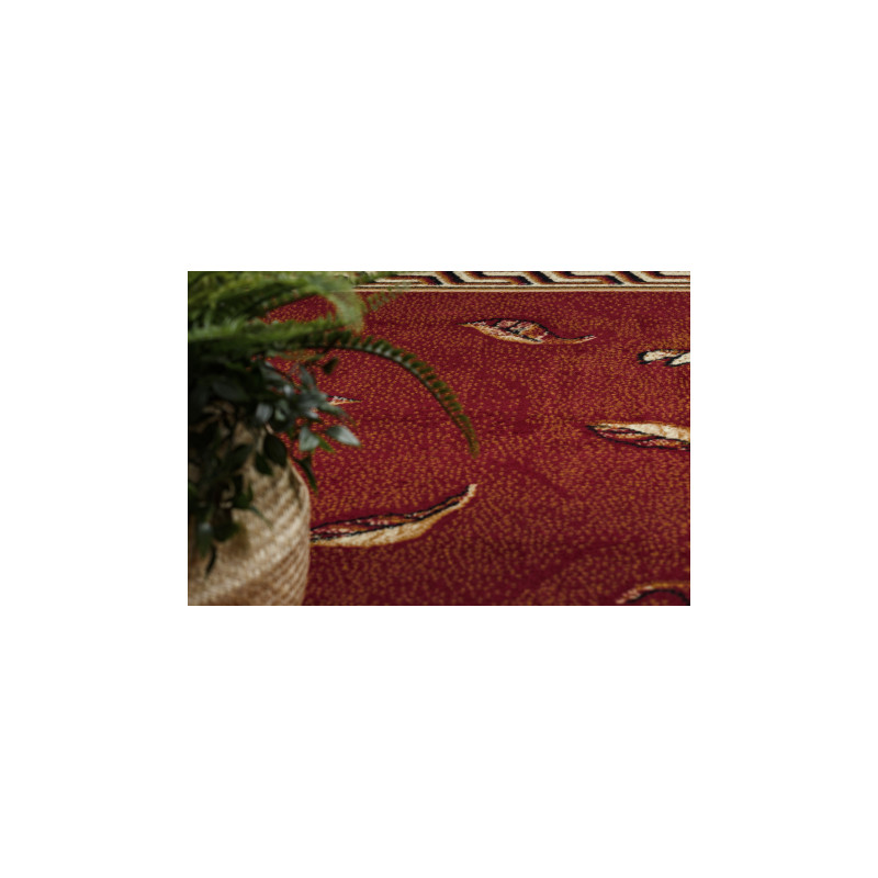 Dywan BCF Morad TRIO Liście, kwiaty klasyczny - bordo 200x300cm