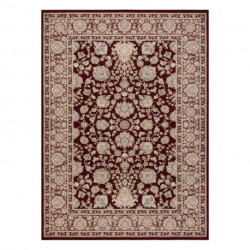 Dywan wełniany JADE 45009/301 Ramka, kwiaty klasyczny czerwony / beż OSTA 200x300cm