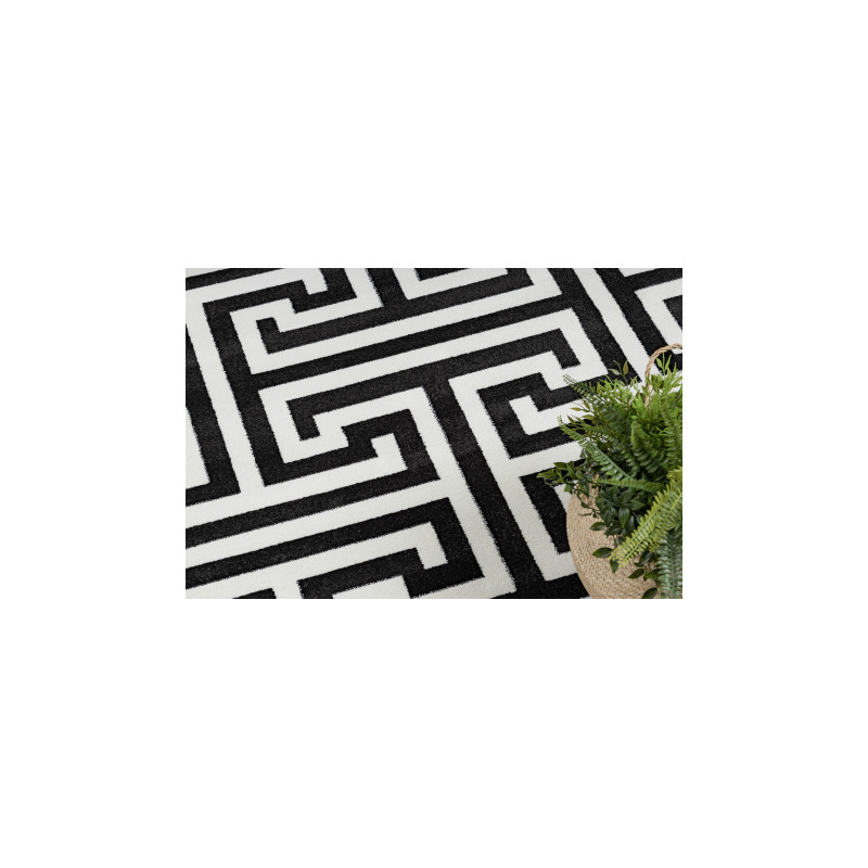 Dywan HAMPTON Crown czarny 160x220cm