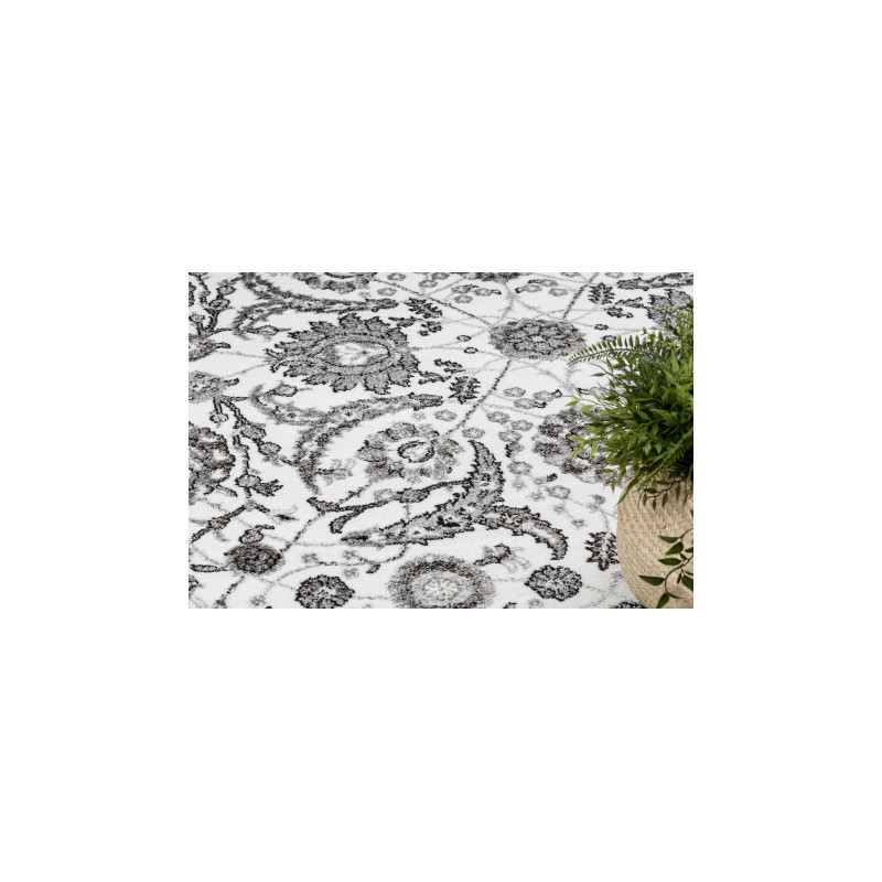 Dywan MATEO 8037/644 Nowoczesny ramka, kwiaty - strukturalny szary 120x170cm