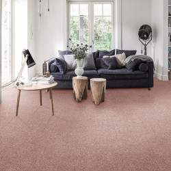 Wykładzina dywanowa AW Invictus Aurelius 61 Wykładzina dywanowa AW Invictus Aurelius 61