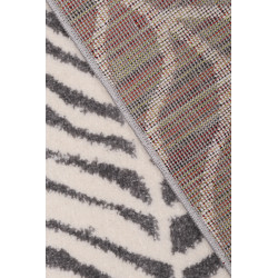 Dywan Kiddy H051A GREY 120x170cm Dywan Kiddy H051A GREY 120x170cm