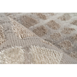 Dywan Lalee Home Milas 202 silver beige