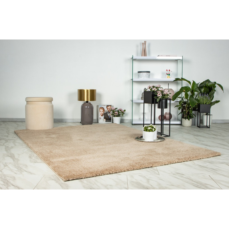 Dywan Ligne Lalee Dream 500 champagner Dywan Ligne Lalee Dream 500 champagner