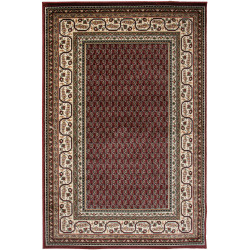 Dywan LOTOS 1537/210 150x230cm