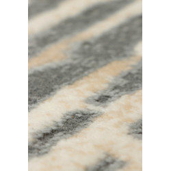 Dywan HOME W6116 CREAM/A.BEIGE 240x340cm Dywan HOME W6116 CREAM/A.BEIGE 240x340cm