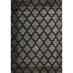 Dywan ROXY 8359C BLACK 160x220cm