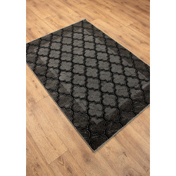 Dywan ROXY 8359C BLACK 160x220cm