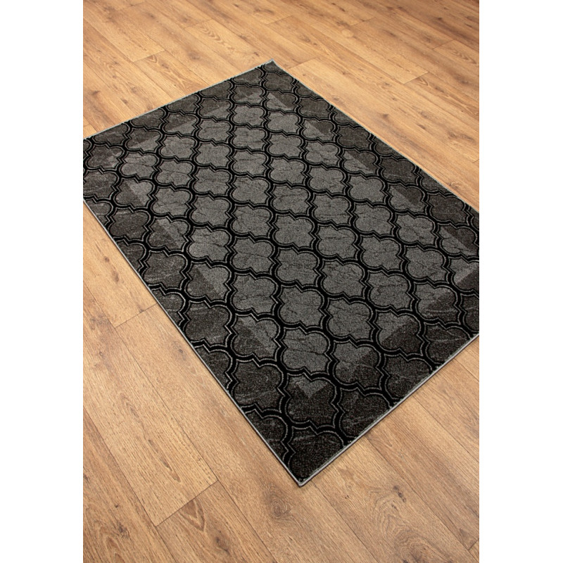 Dywan ROXY 8359C BLACK 160x220cm