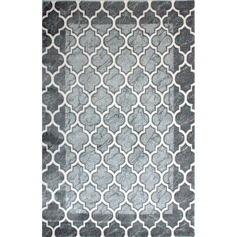 Dywan ROXY 8359C GREY 160x220cm