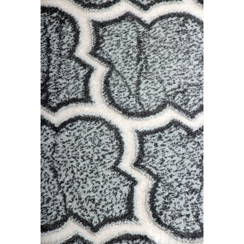 Dywan ROXY 8359C GREY 160x220cm