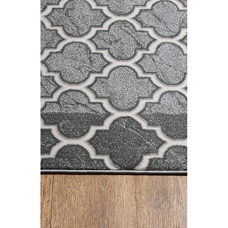 Dywan ROXY 8359C GREY 160x220cm