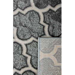 Dywan ROXY 8359C GREY 160x220cm