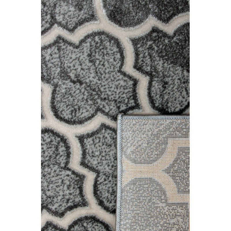 Dywan ROXY 8359C GREY 160x220cm