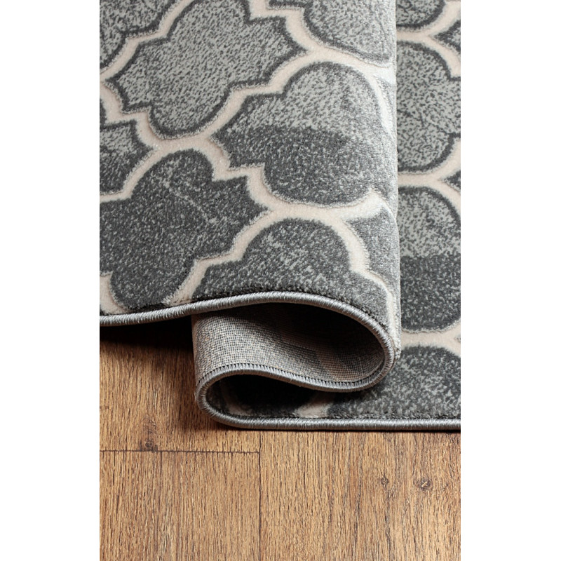 Dywan ROXY 8359C GREY 160x220cm