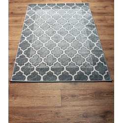 Dywan ROXY 8359C GREY 160x220cm