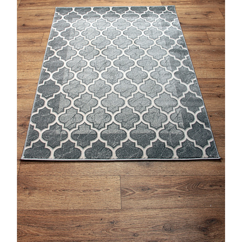 Dywan ROXY 8359C GREY 160x220cm
