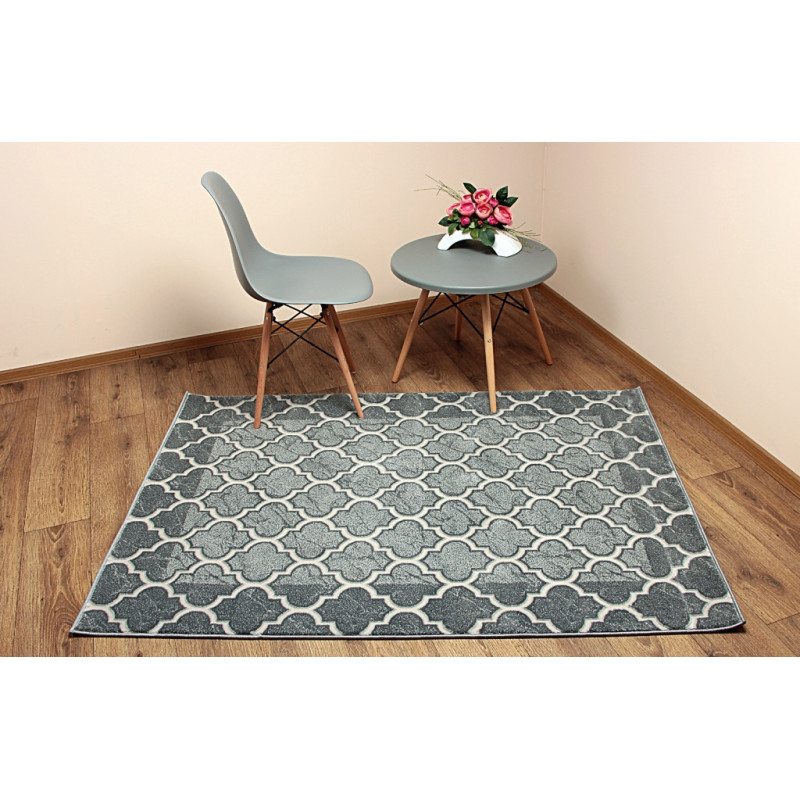 Dywan ROXY 8359C GREY 160x220cm