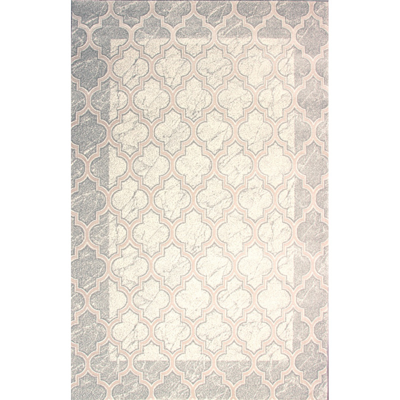 Dywan ROXY 8359C L.GREY 160x220cm