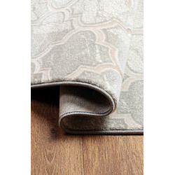Dywan ROXY 8359C L.GREY 160x220cm
