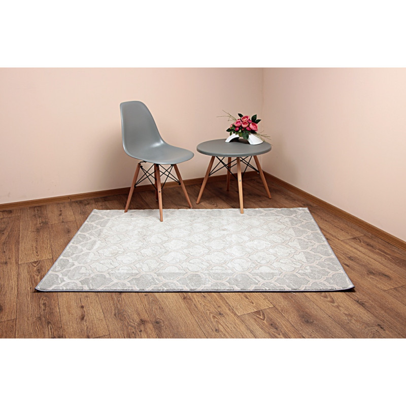 Dywan ROXY 8359C L.GREY 160x220cm