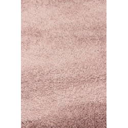 Dywan SHAGGY DE LUXE / EVO SHAGGY 8000/255 160x220cm