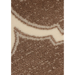 Dywan ROXY 9264A D.BEIGE 160x220cm