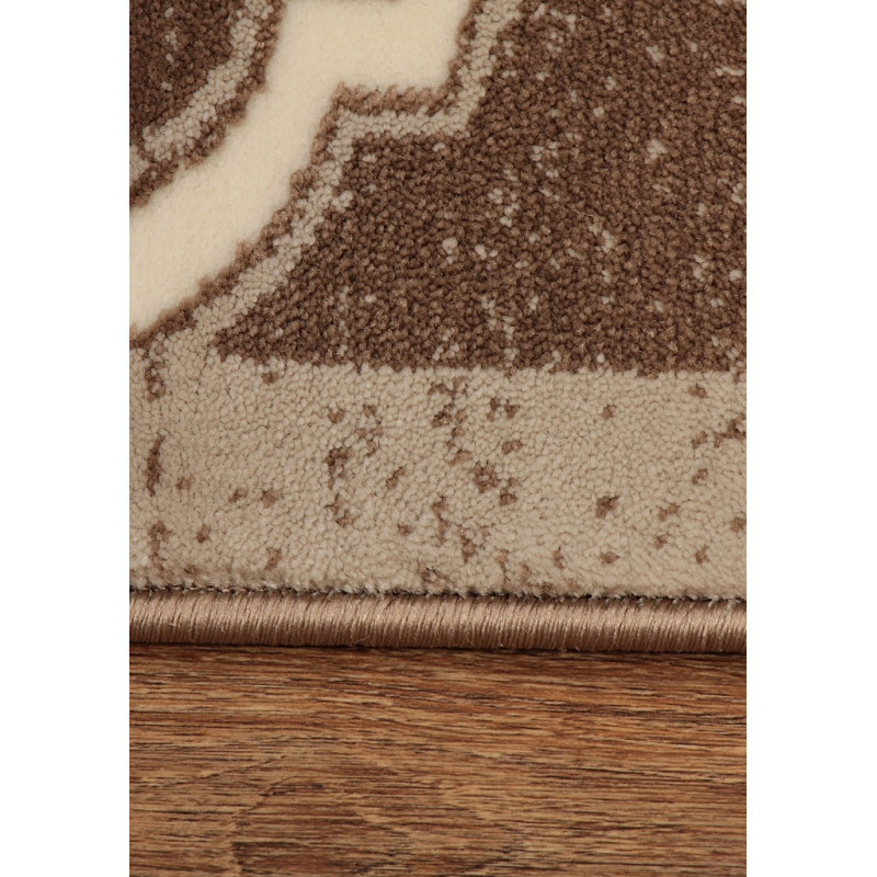 Dywan ROXY 9264A D.BEIGE 160x220cm