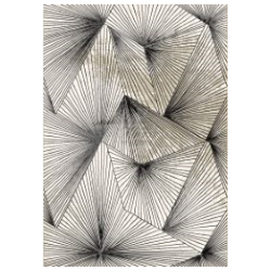 Dywan Studio E840A 120x170cm