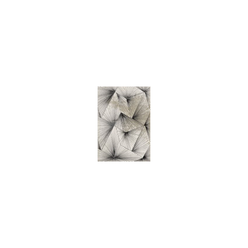 Dywan Studio E840A 120x170cm Dywan Studio E840A 120x170cm