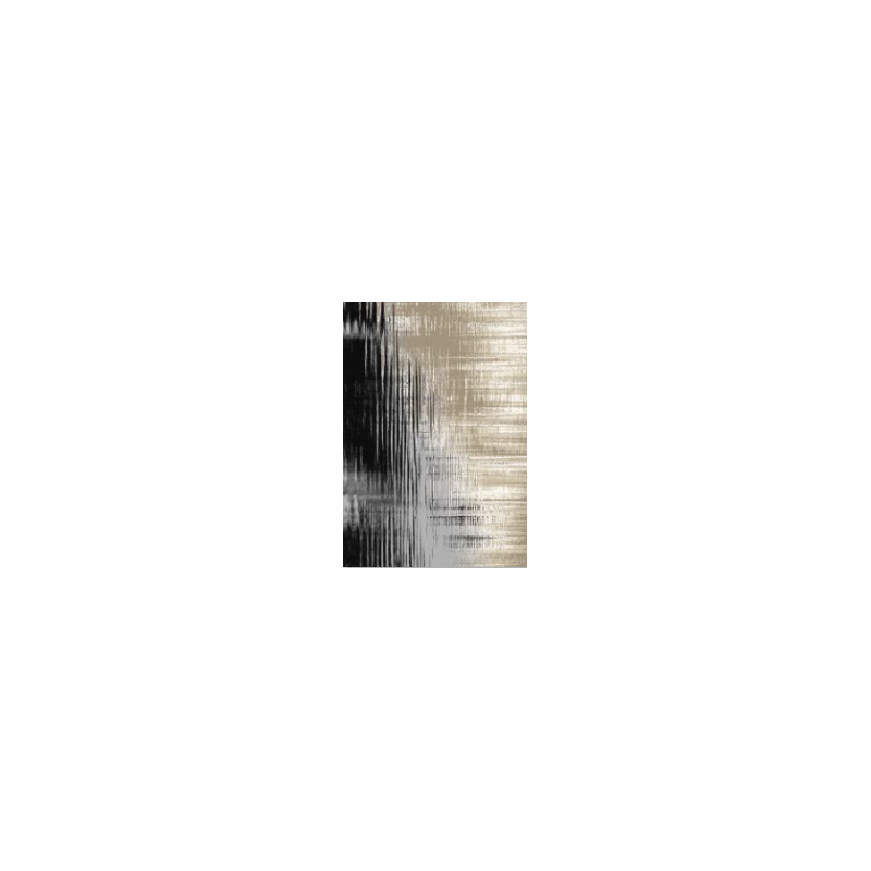 Dywan Studio E103B 120x170cm