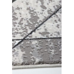 Dywan Tender 23092B BLACK/L.GREY VELVET 200x290cm