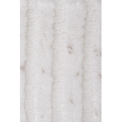 Dywan HOME 9925 CREAM 120x170cm Dywan HOME 9925 CREAM 120x170cm