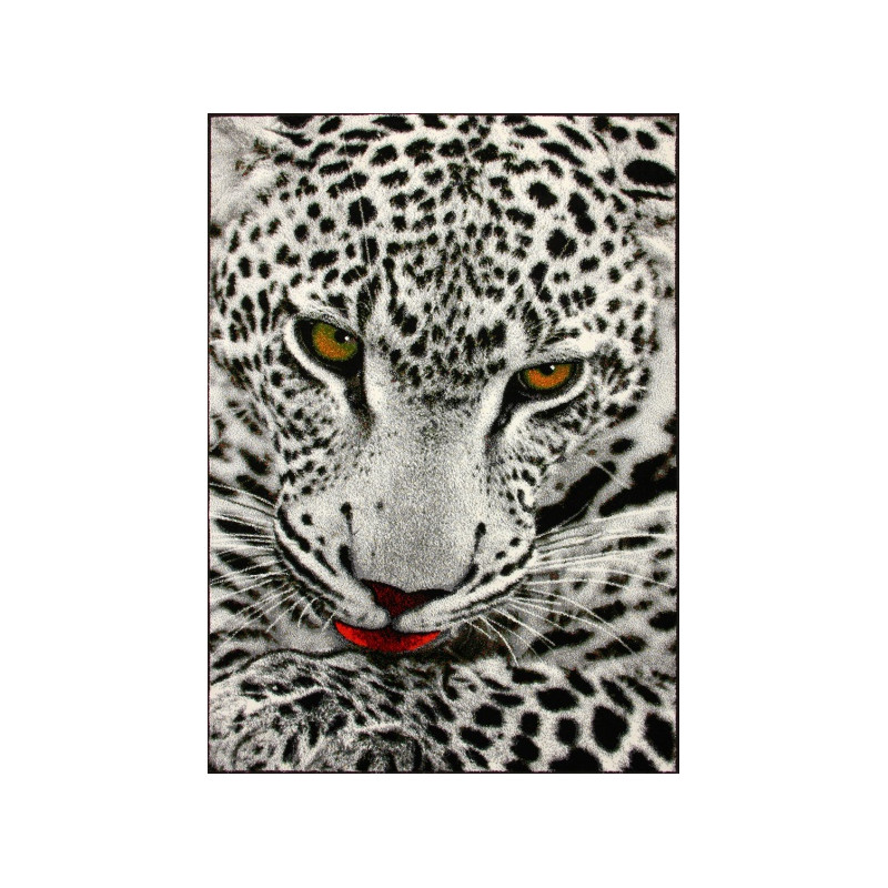Dywan KOLIBRI 11122/190 120x170cm Dywan KOLIBRI 11122/190 120x170cm