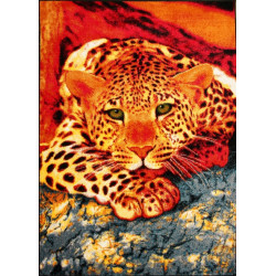 Dywan KOLIBRI 11123/120 120x170cm