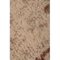 Dywan LOTOS 523/100 250x350cm Dywan LOTOS 523/100 250x350cm