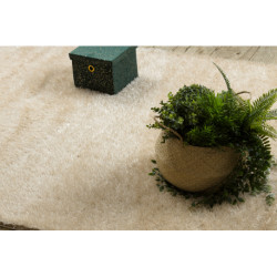 Dywan BUENOS 6652 shaggy jednolity, jednokolorowy krem 180x270cm Dywan BUENOS 6652 shaggy jednolity, jednokolorowy krem 180x270cm