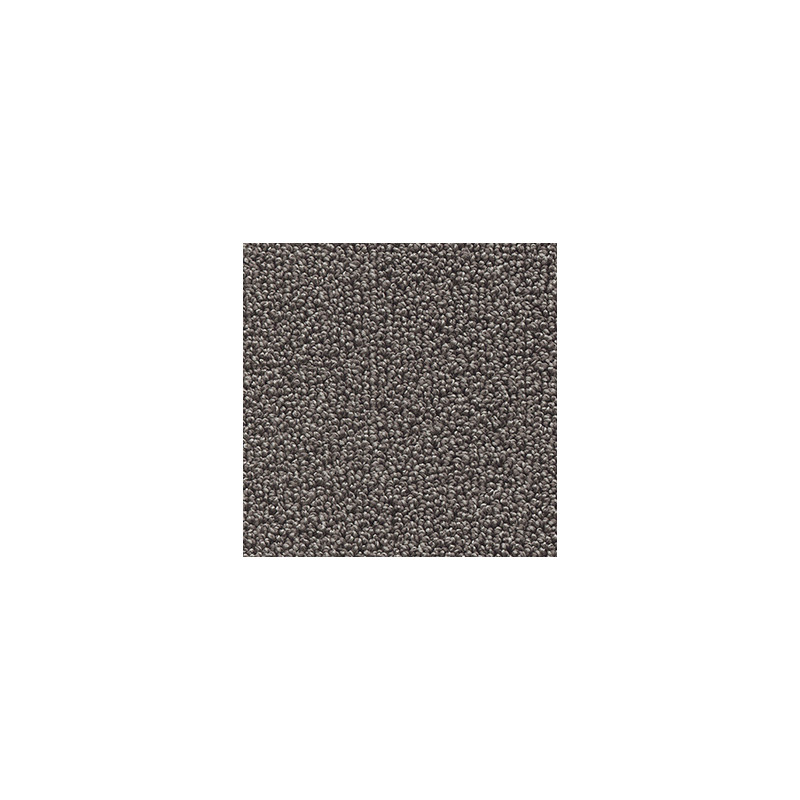 Wykładzina dywanowa AW Pride 48