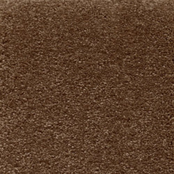 Wykładzina dywanowa AW Sophistication 45