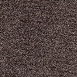 Wykładzina dywanowa AW Stainaway Harvest Heathers 42
