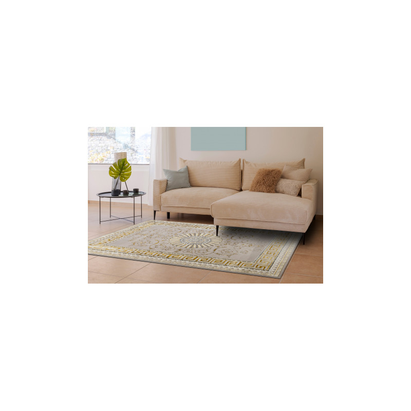 Dywan BLISS Z160AZ147 ciemny beż / złoty - Ramka, grecki ekskluzywny, strukturalny  80x150cm